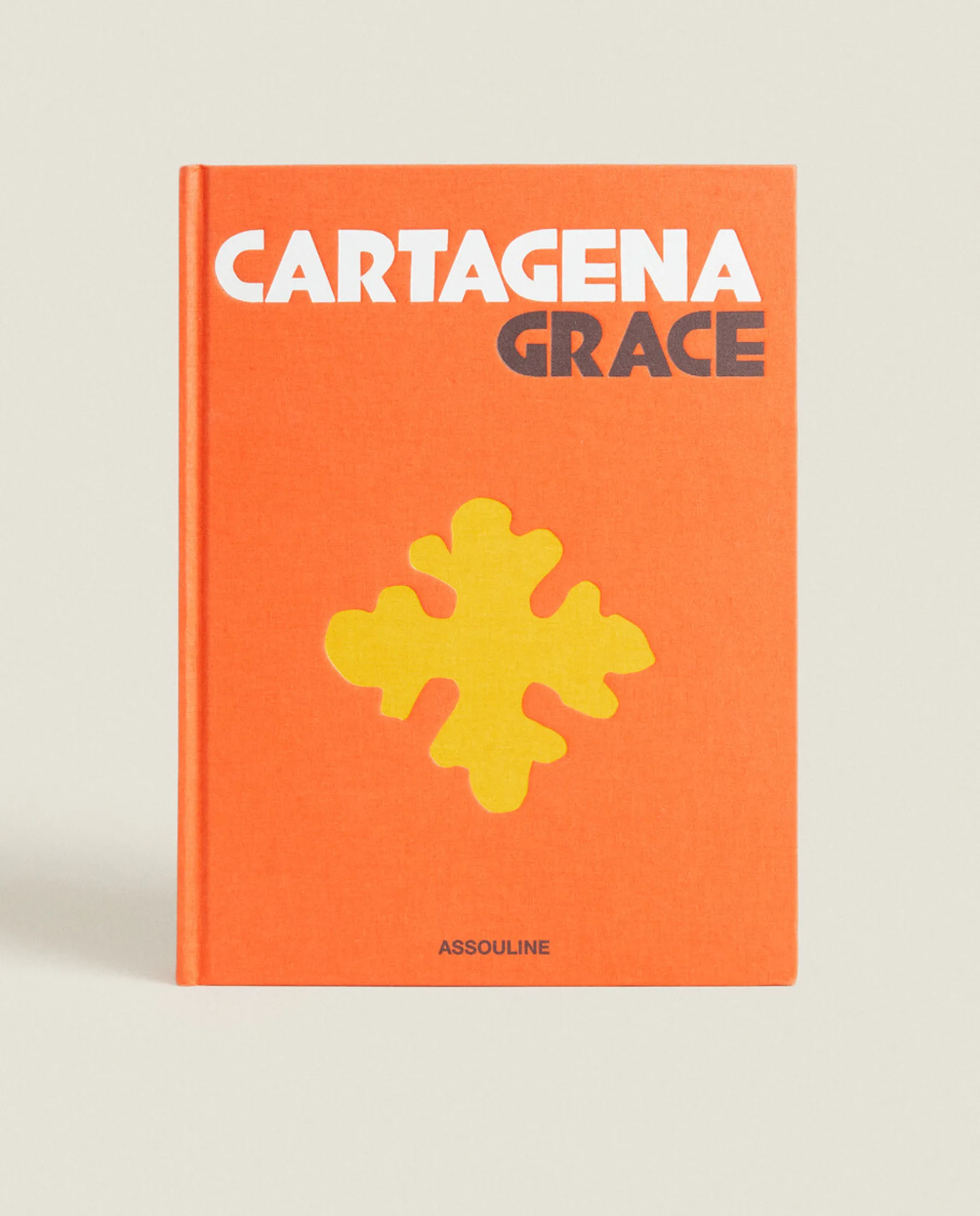 ZARA Home Assouline Cartagena Book