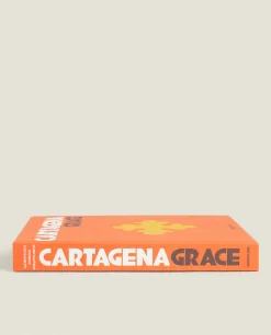 ZARA Home Assouline Cartagena Book