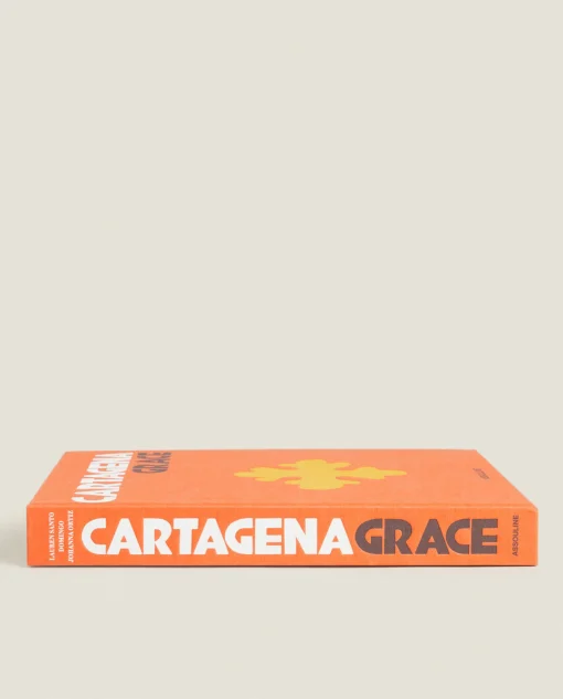 ZARA Home Assouline Cartagena Book