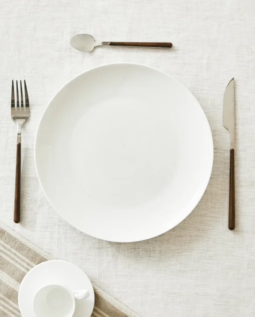 ZARA Home Bone China Dinner Plate