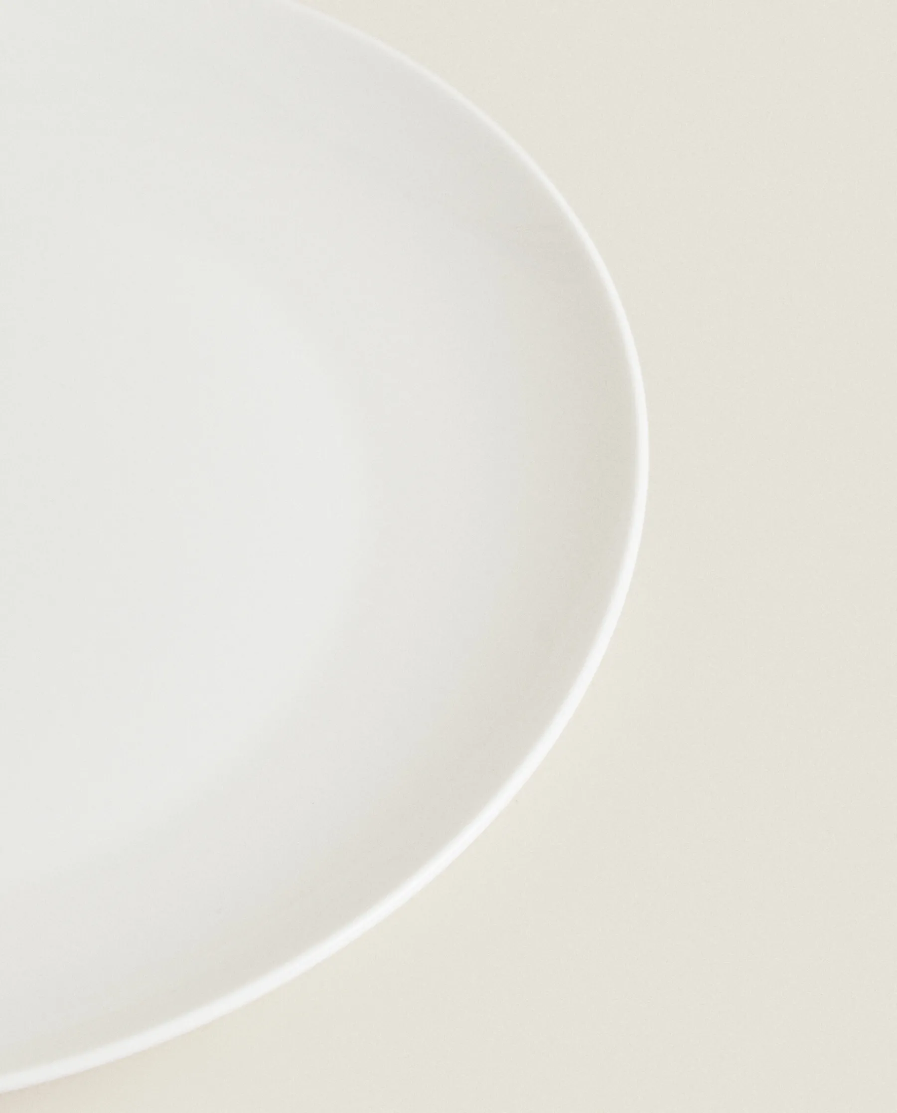 ZARA Home Bone China Dinner Plate