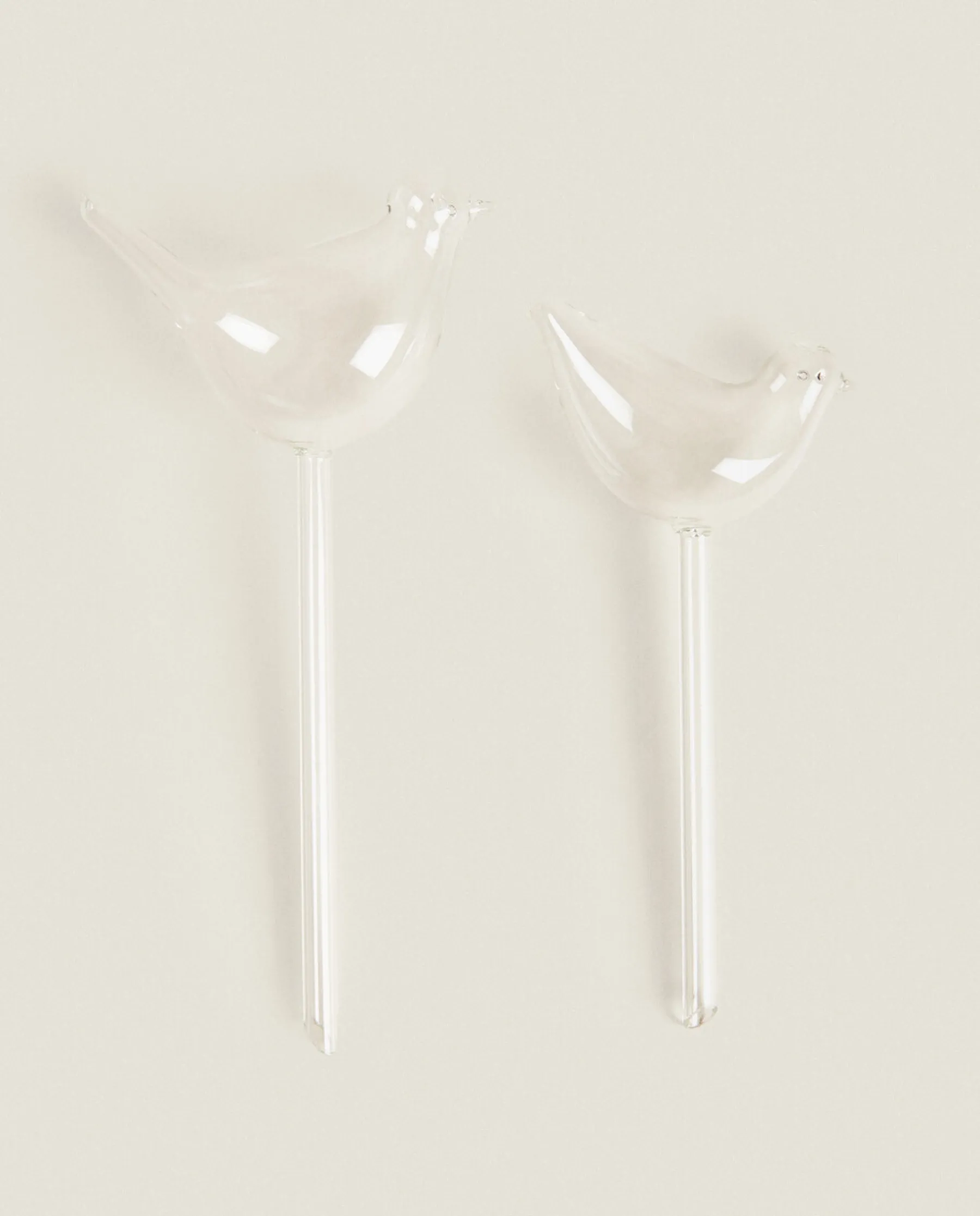 ZARA Home Borosilicate Glass Self-Watering Bubble