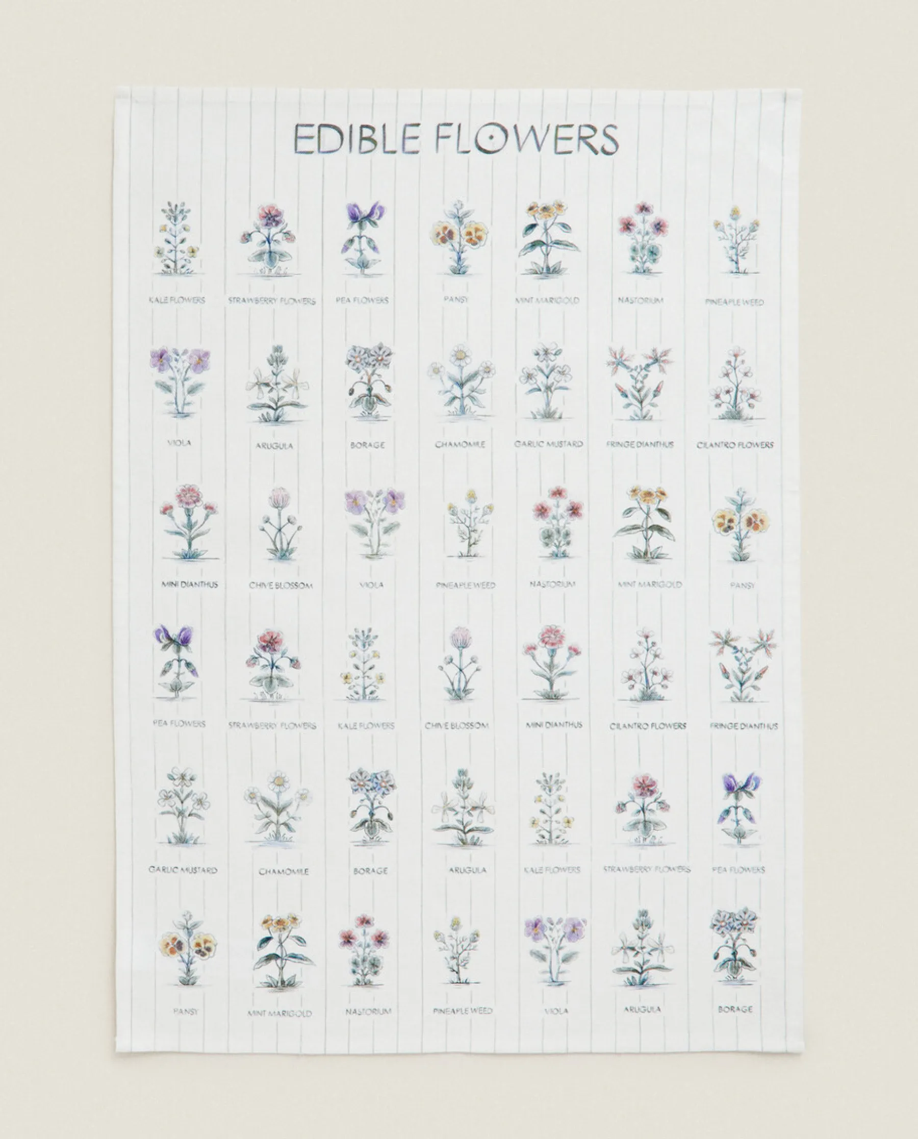ZARA Home Check And Floral Print Cotton Tea Towel (Pack Of 2)