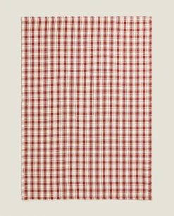 ZARA Home Colored Check Kitchen Towels (Pack Of 2)