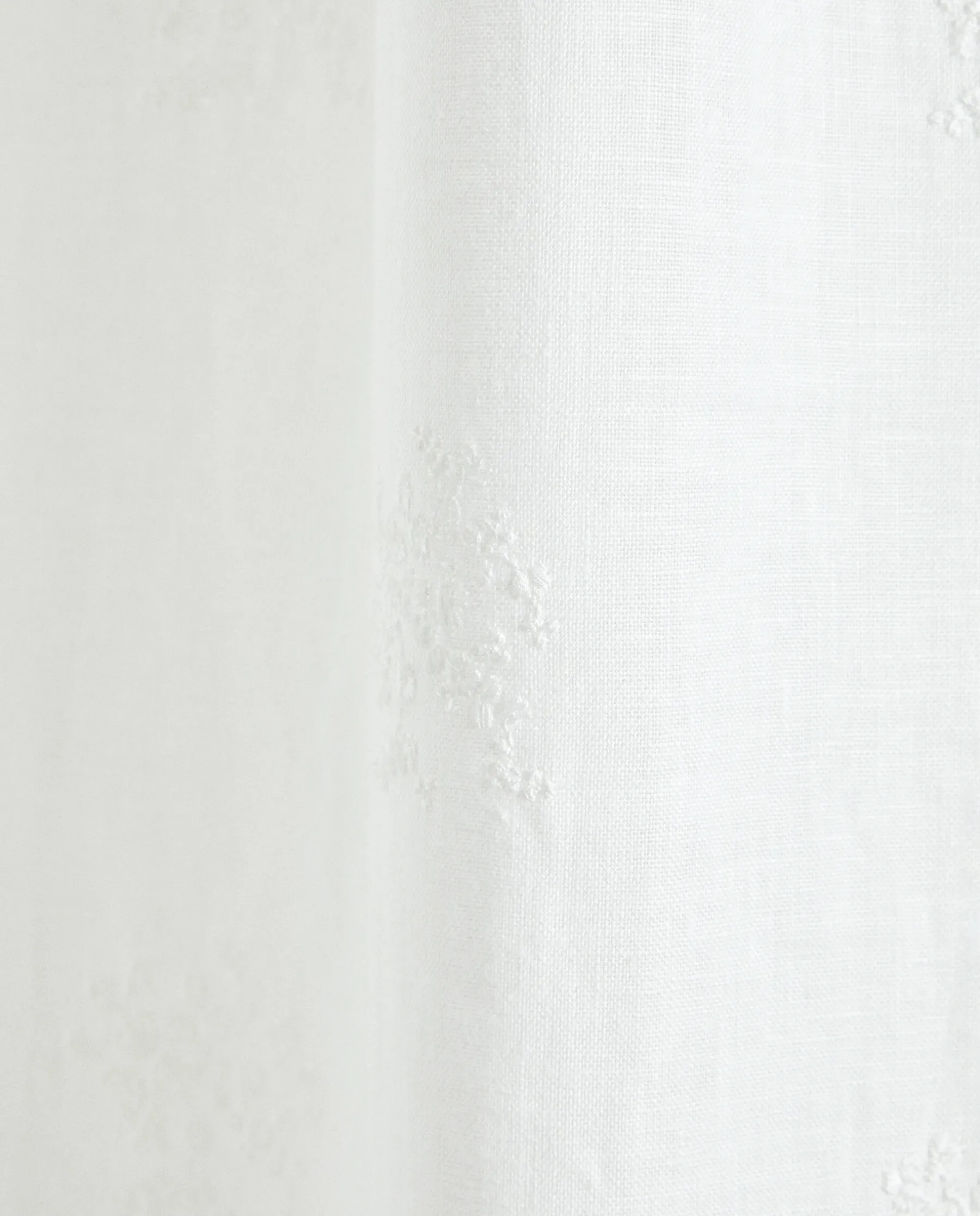 ZARA Home Embroidered Curtain