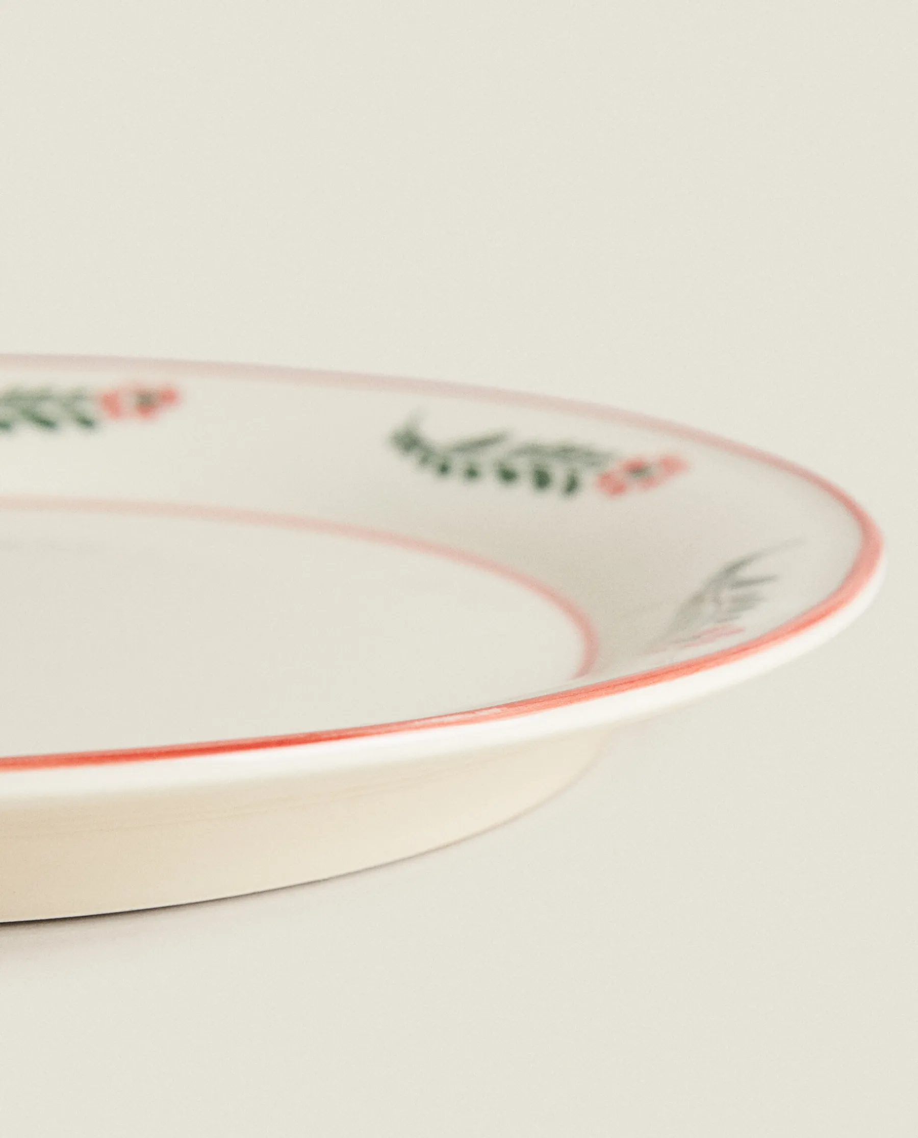 ZARA Home Floral Earthenware Dinner Plate