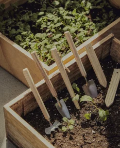 ZARA Home Garden Utensils (Set Of 6)