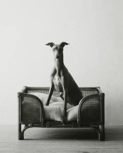 ZARA Home Linen Pet Cushion