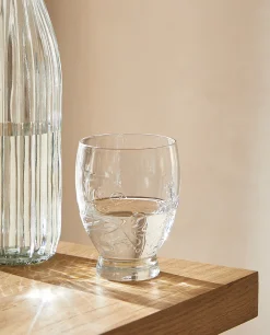 ZARA Home Raised Floral Design Glass Tumbler