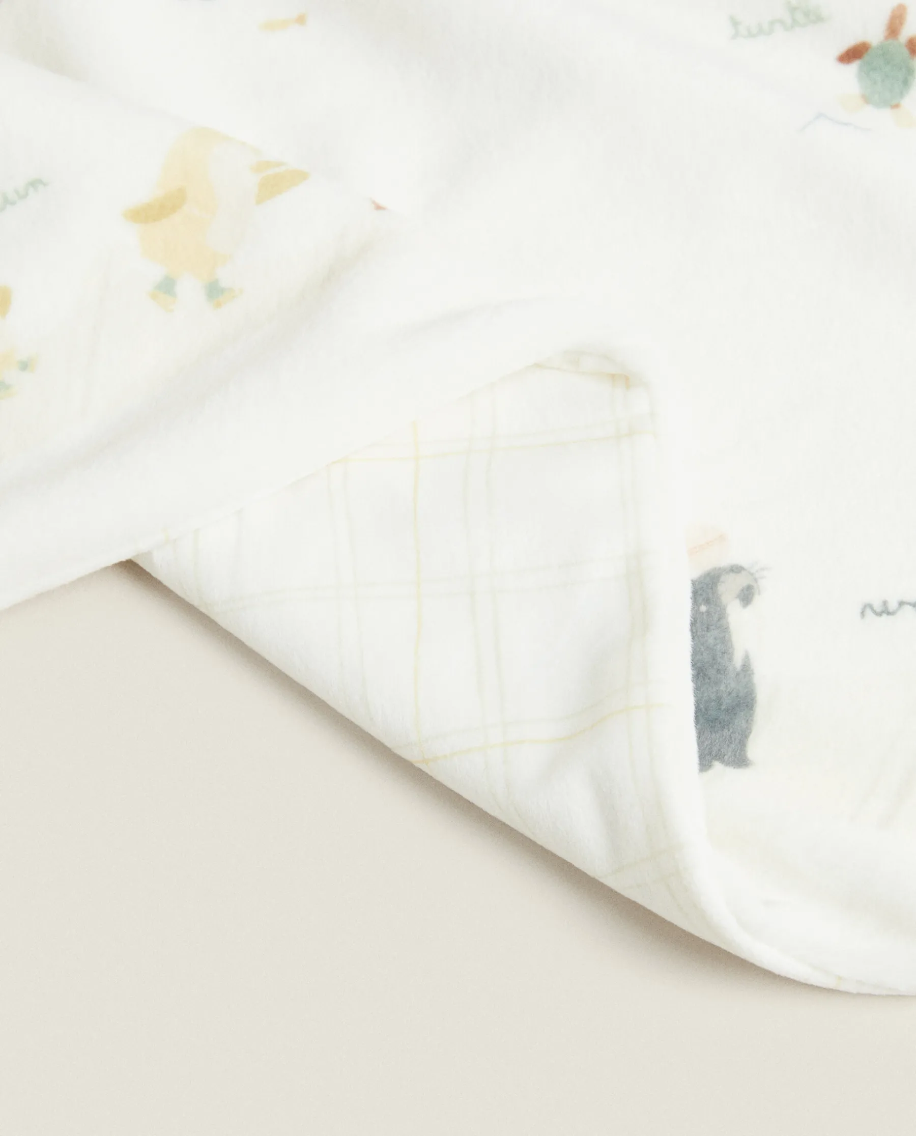 ZARA Home Reversible World Map Blanket