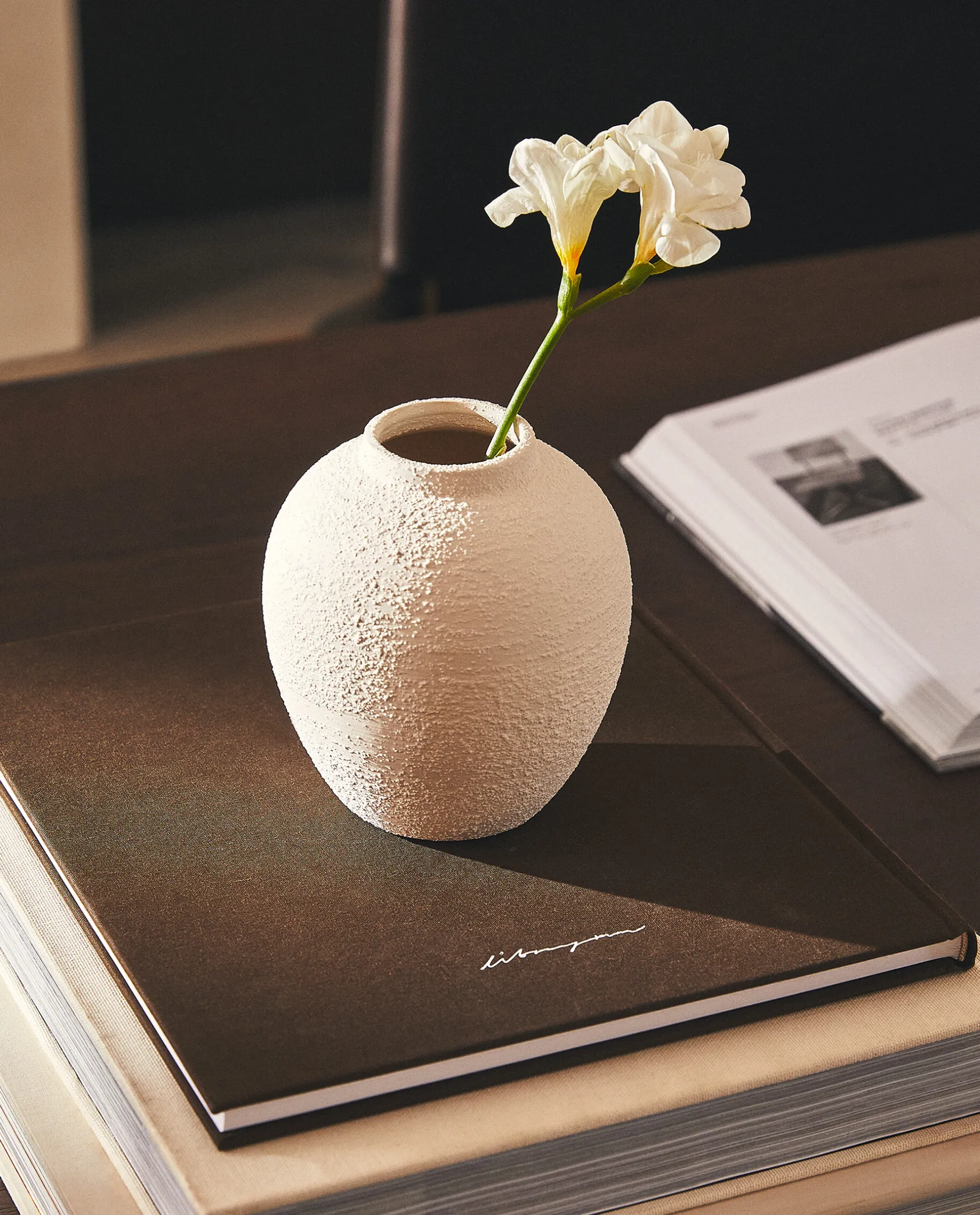 ZARA Home Rough Earthenware Vase