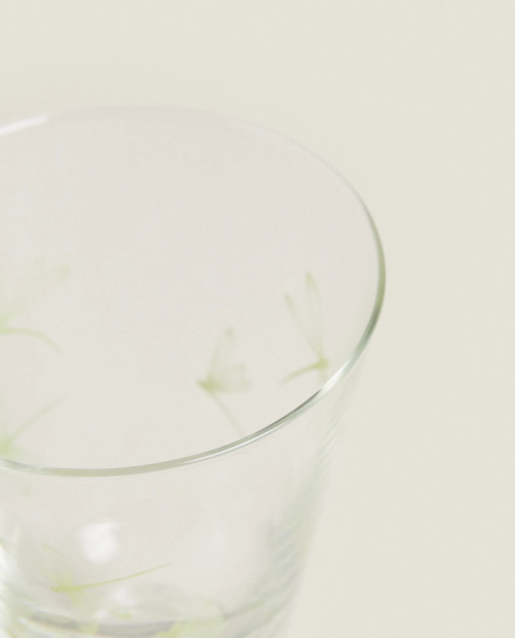 ZARA Home Silk Screen Wine Glass