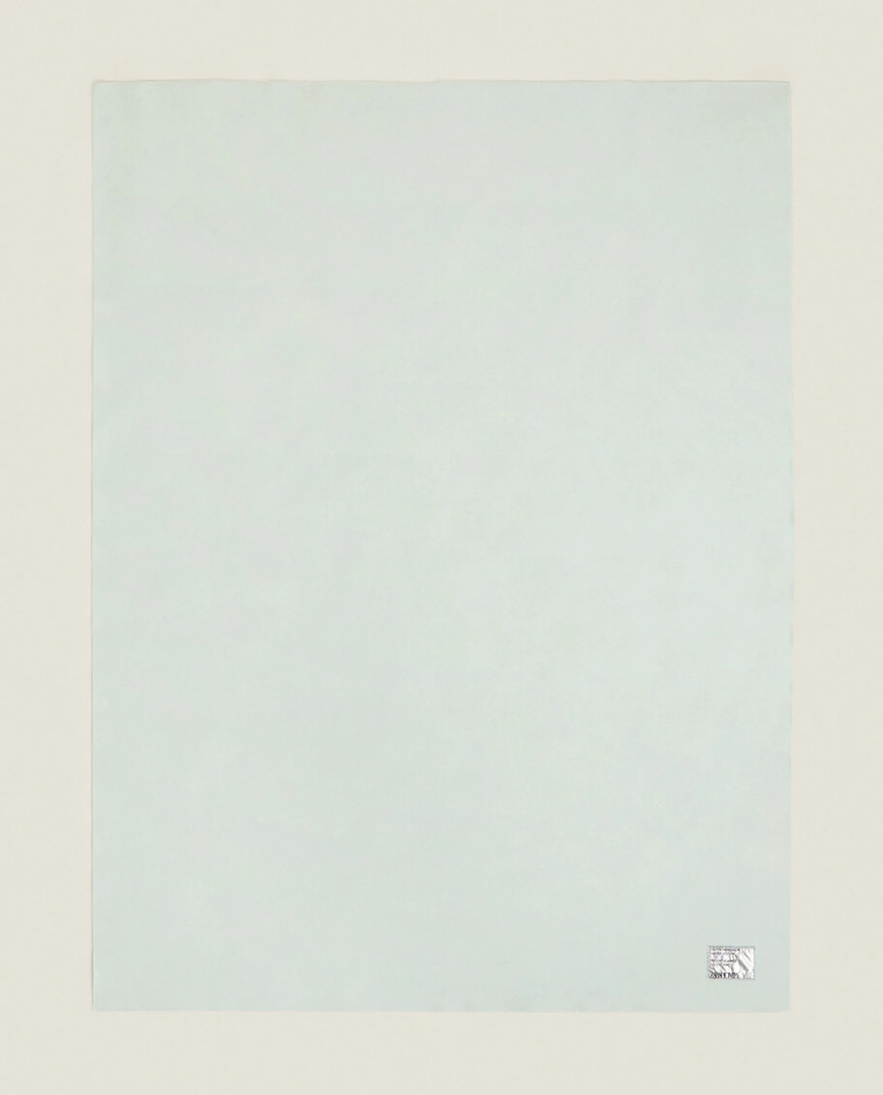 ZARA Home Solid Color Wool Blanket