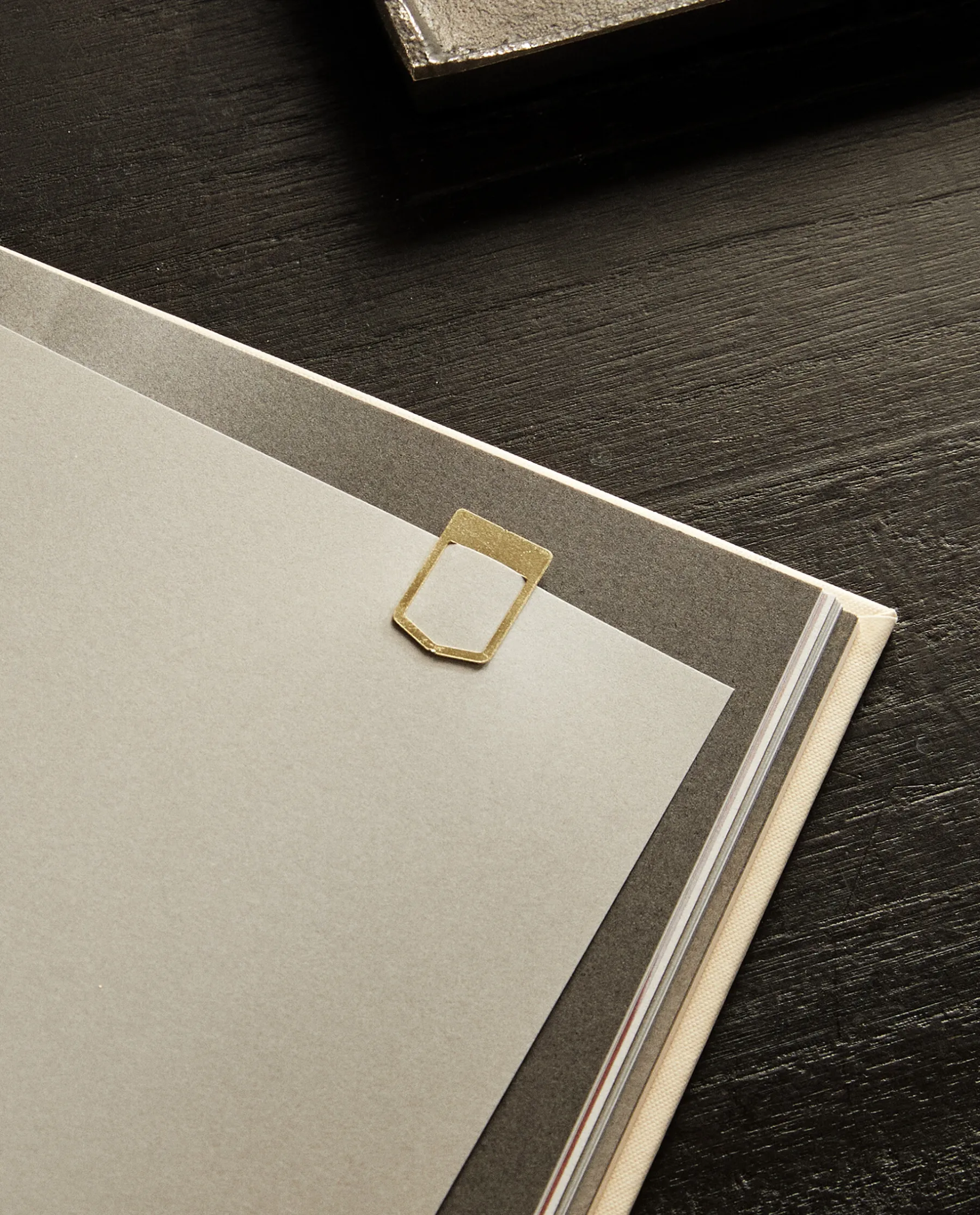 ZARA Home Steel Clips (Pack Of 50)