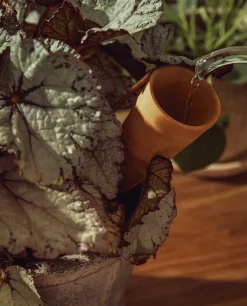 ZARA Home Terracotta Watering Accessory