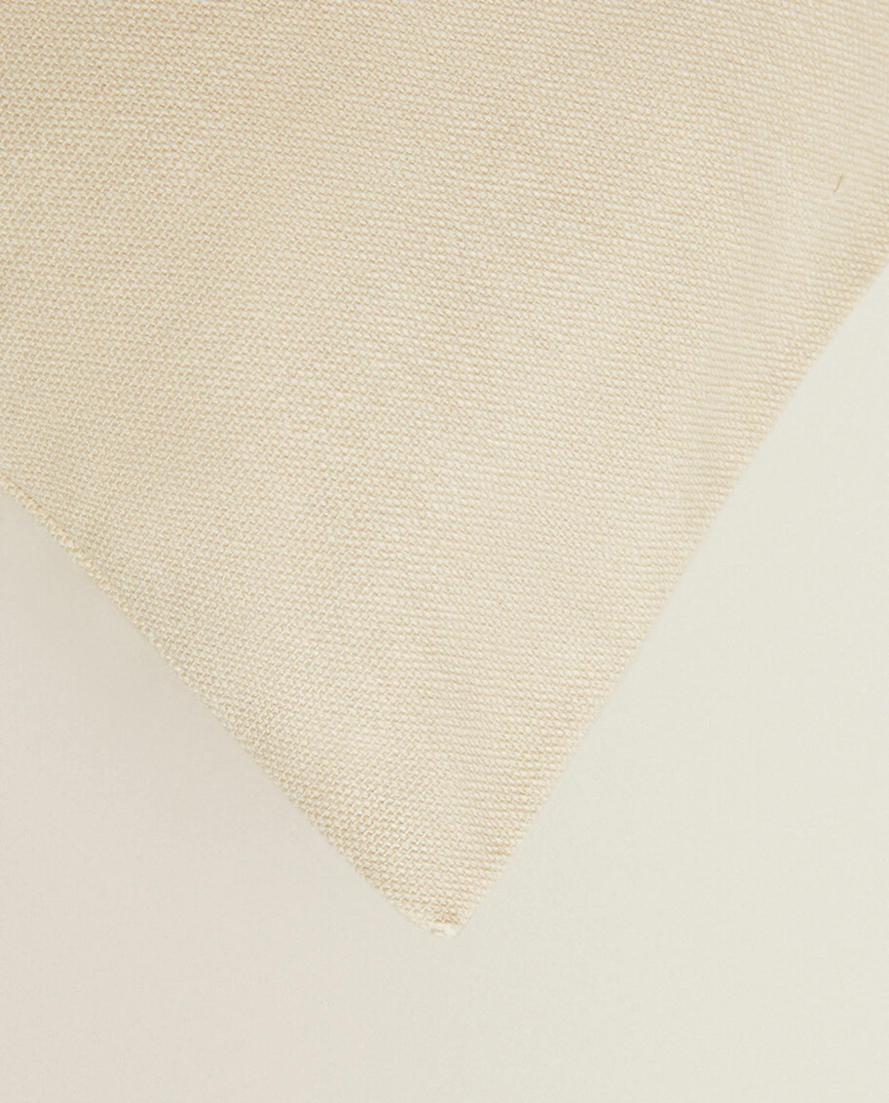 ZARA Home Throw Pillow Cover